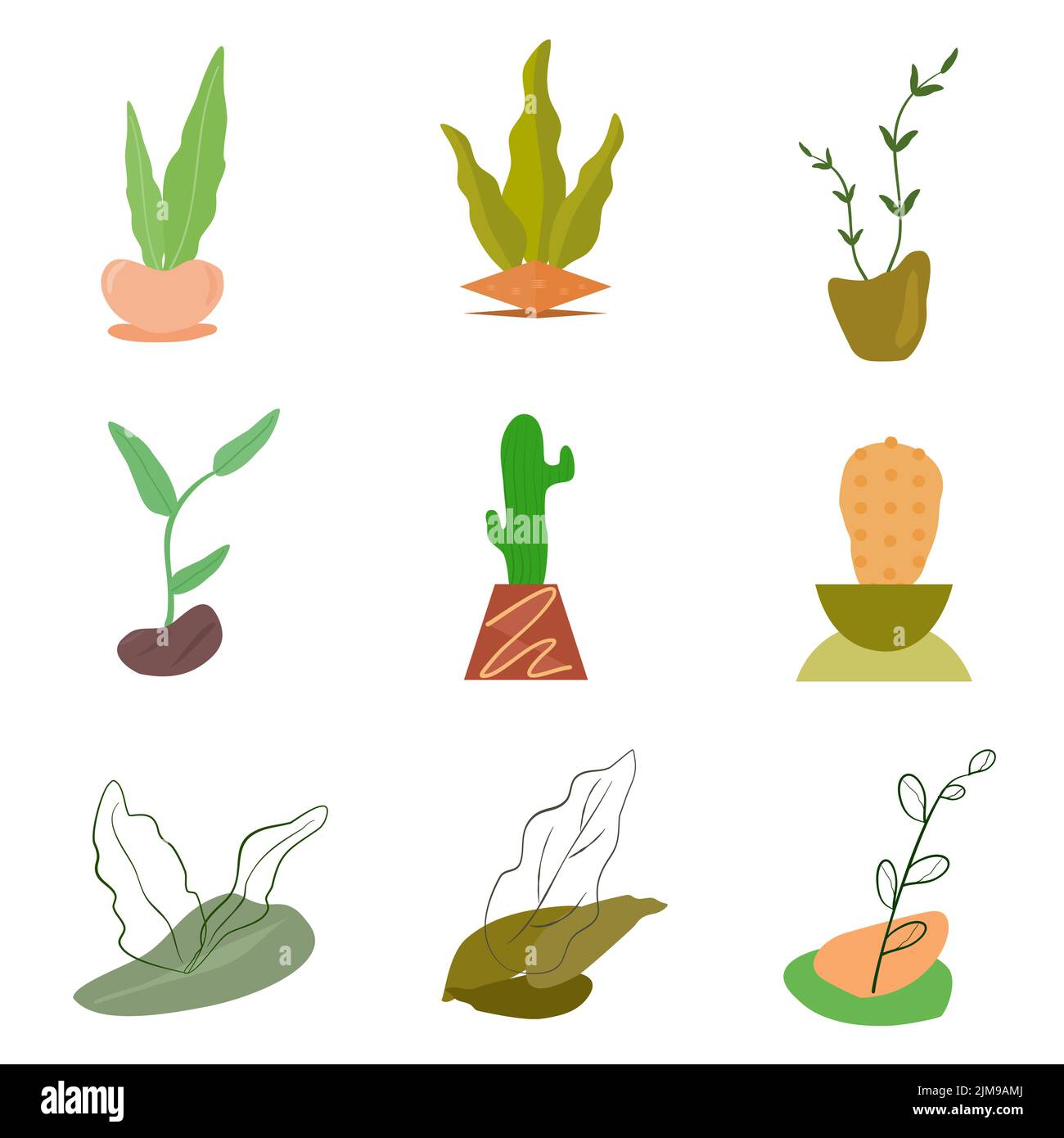 Aesthetic plants botanical foliage minimalist icon elements art graphic design abstract background decoration collection vector illustration Stock Vector