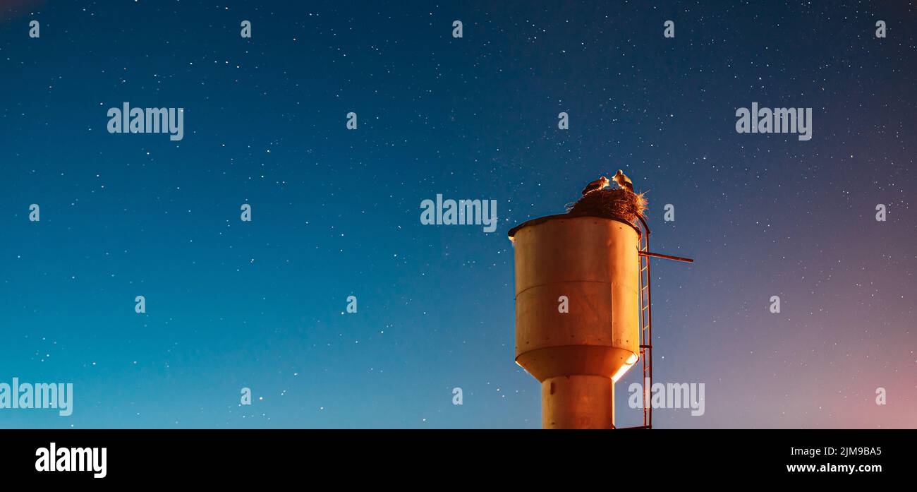 Panoramic View Of Starry Sky At Night. Night Clear Sky. Storks Sit On A Water Tower. Night Romance Concept. Family, Relationships. Two Adult European Stock Photo