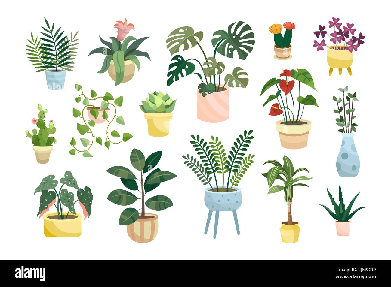 Different potted houseplants flat vector illustrations set. Indoor flowers or plants in flowerpots or vases, alocasia, begonia in pots isolated on whi Stock Vector