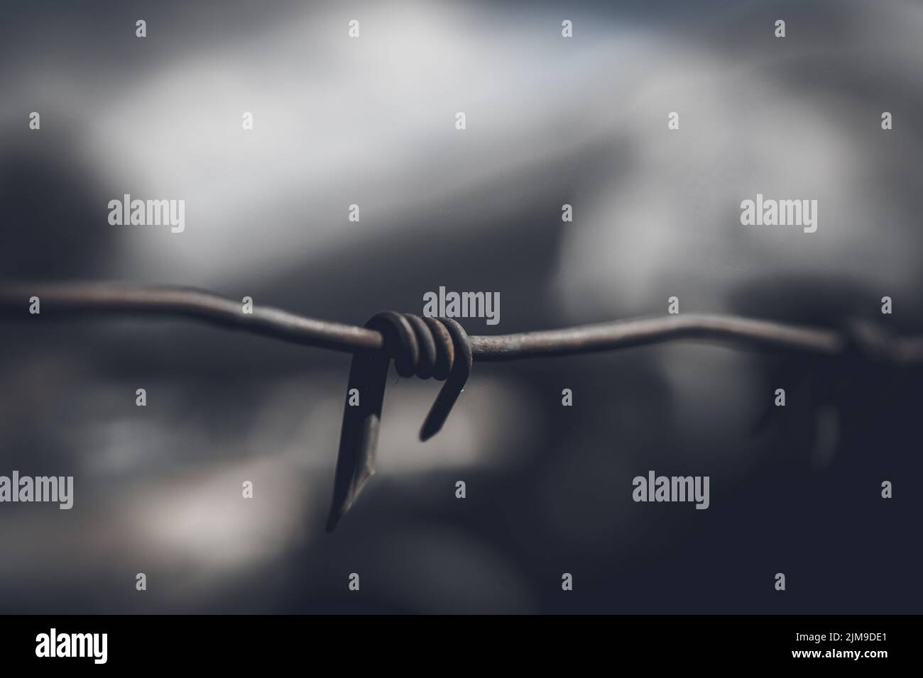 Barbed wire fence against dramatic, dark sky. Stock Photo