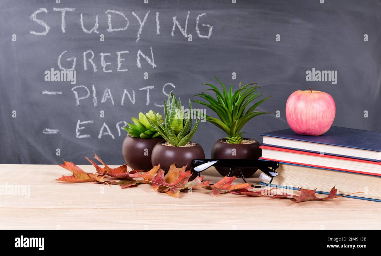 Studying green topics with nature objects in classroom environment with blackboard in background Stock Photo