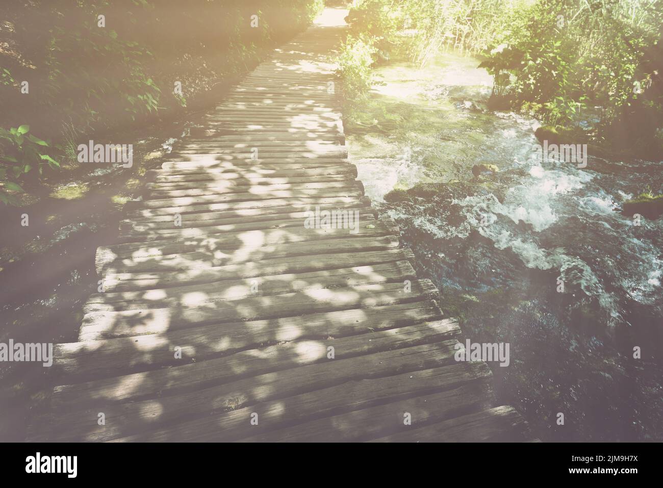 Hiking Trail with Sunlight with Vintage Instagram Film Effect Stock Photo