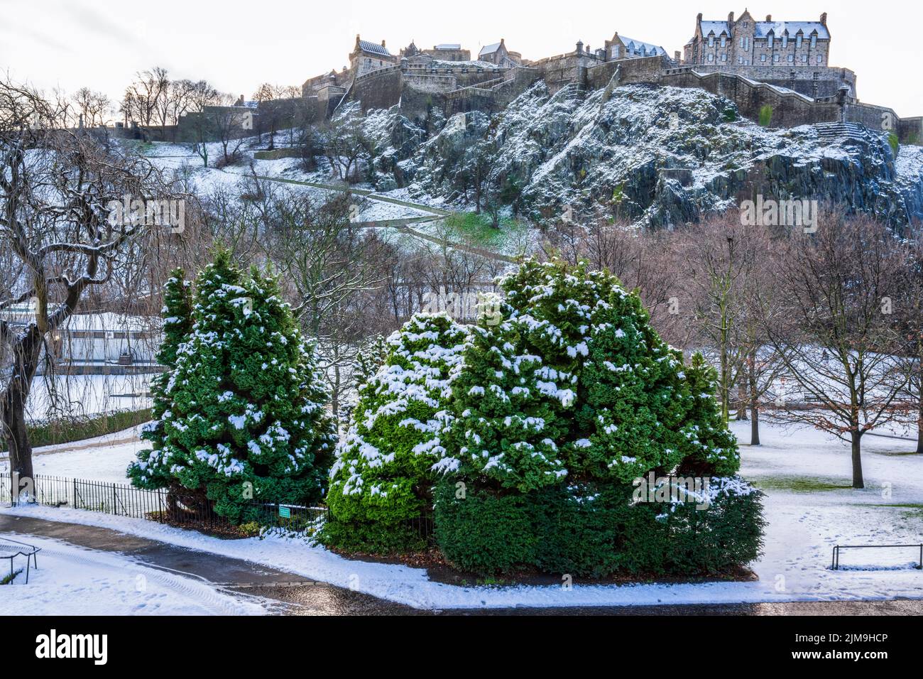 Fir trees in West Princes Street Gardens with a sprinkling of snow, with Edinburgh Castle in the background, Edinburgh, Scotland, UK Stock Photo