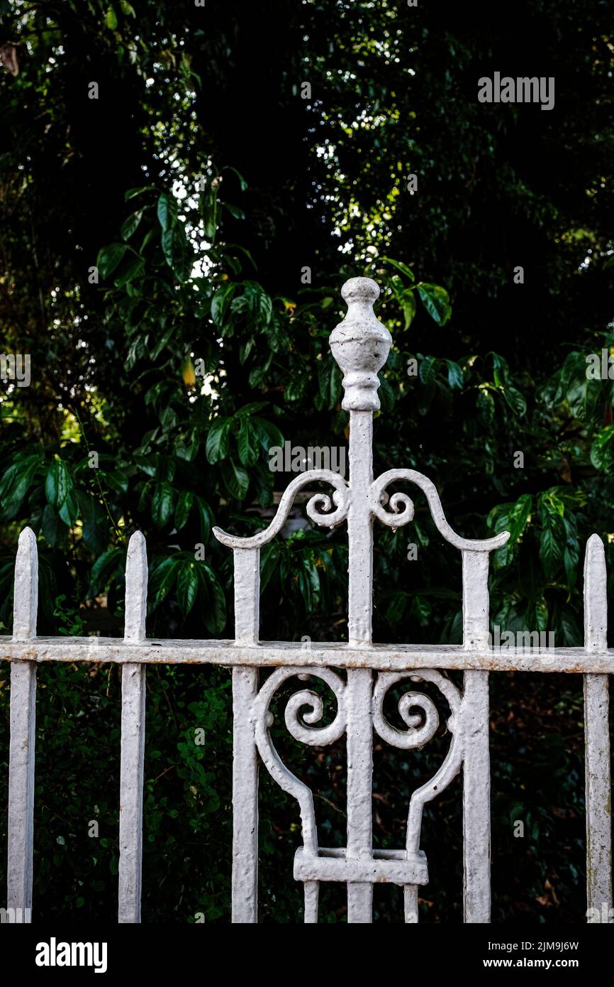 Ornate wrought iron gate Stock Photo