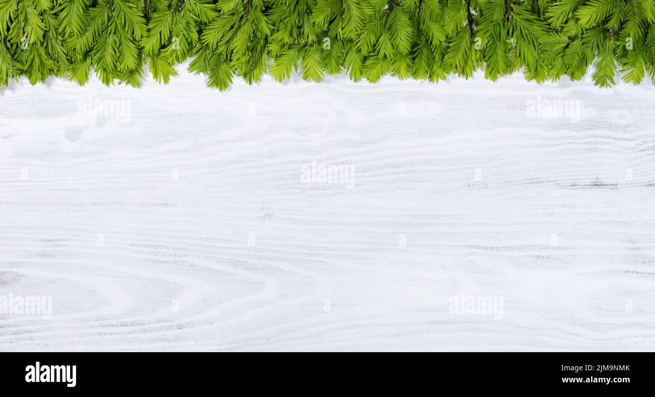 New fir tree branch tips on white wooden boards for the seasonal holidays Stock Photo