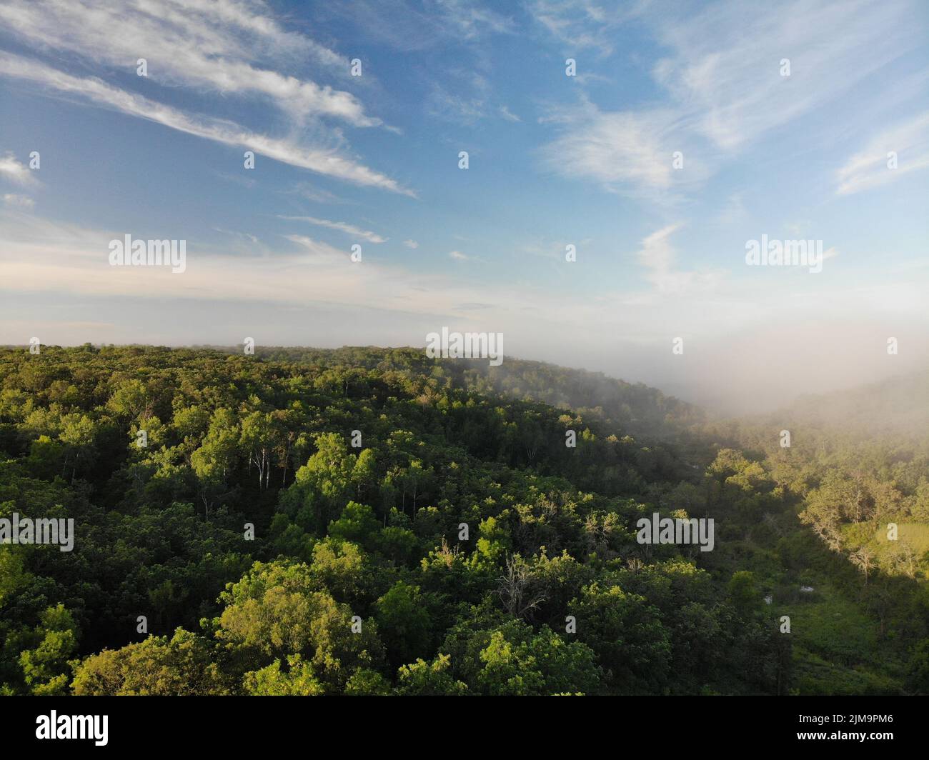 An aerial view of green forests on mountains in the morning Stock Photo ...