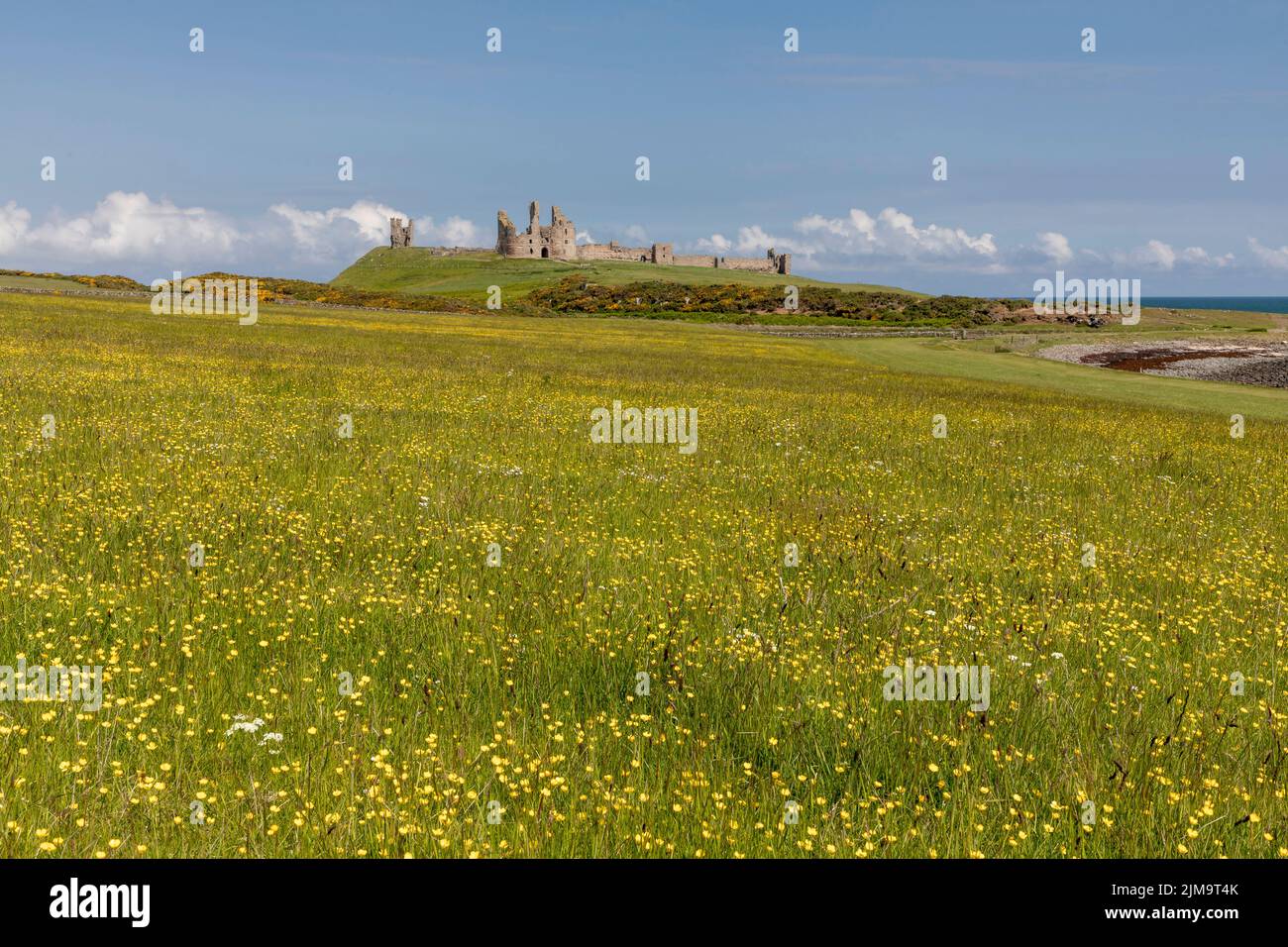 dunstanburgh castle from the south and wild flower meadow daytime no people Stock Photo