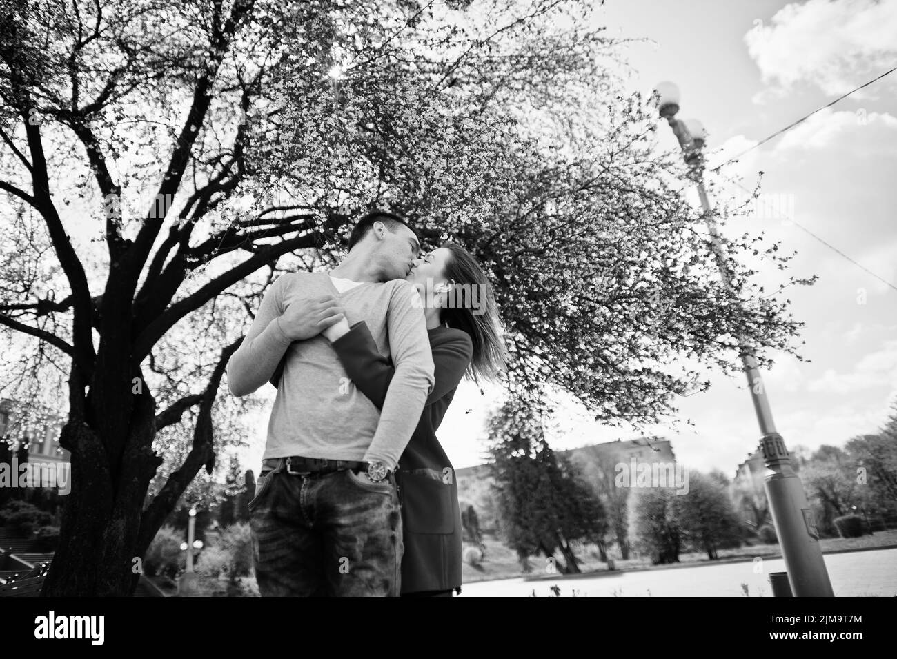 Hugging couple in love background cherry tree blossom with sunbeam.  Black and  white photo Stock Photo