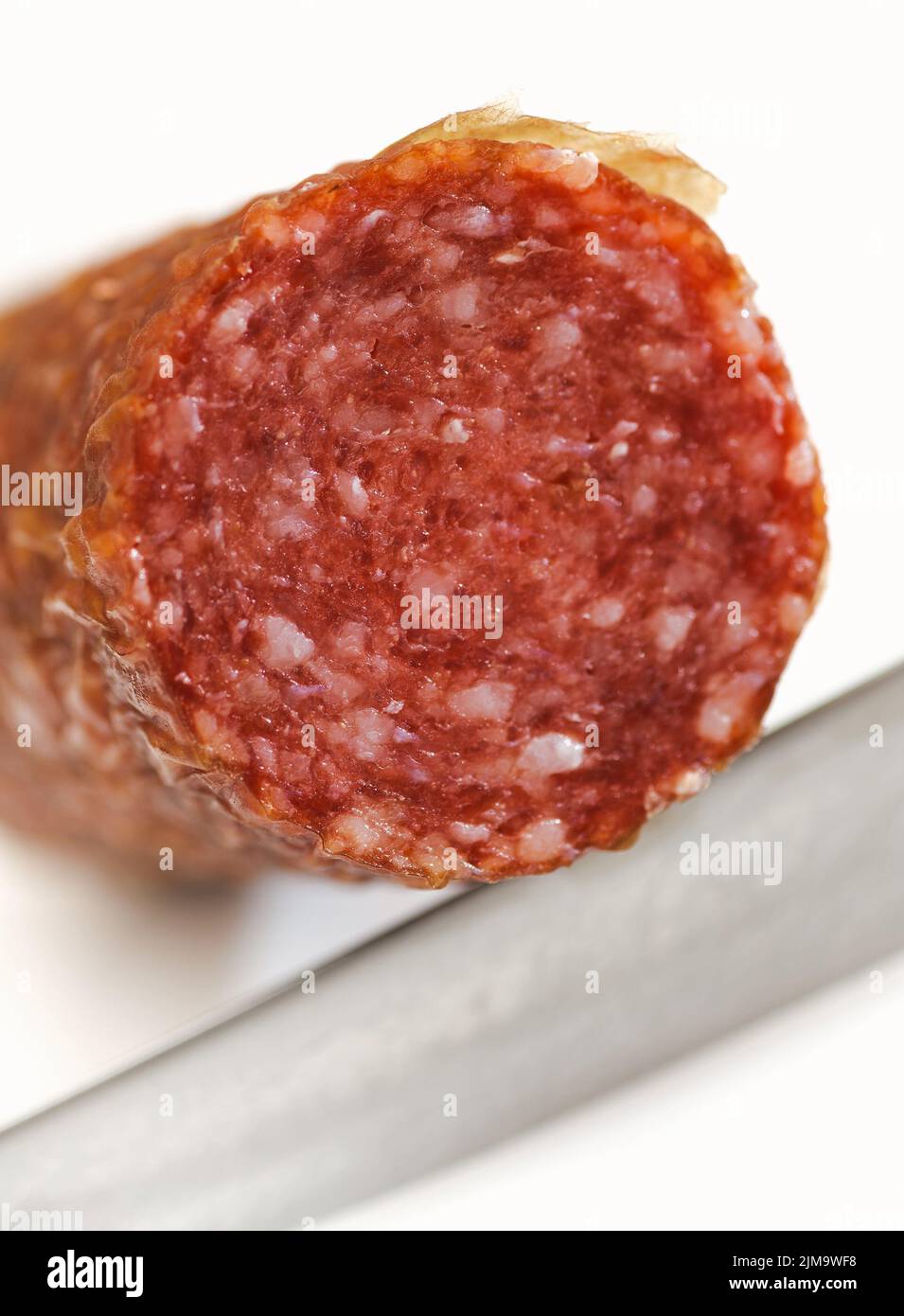 Smoked sausage salami on white backgrounds Stock Photo Alamy