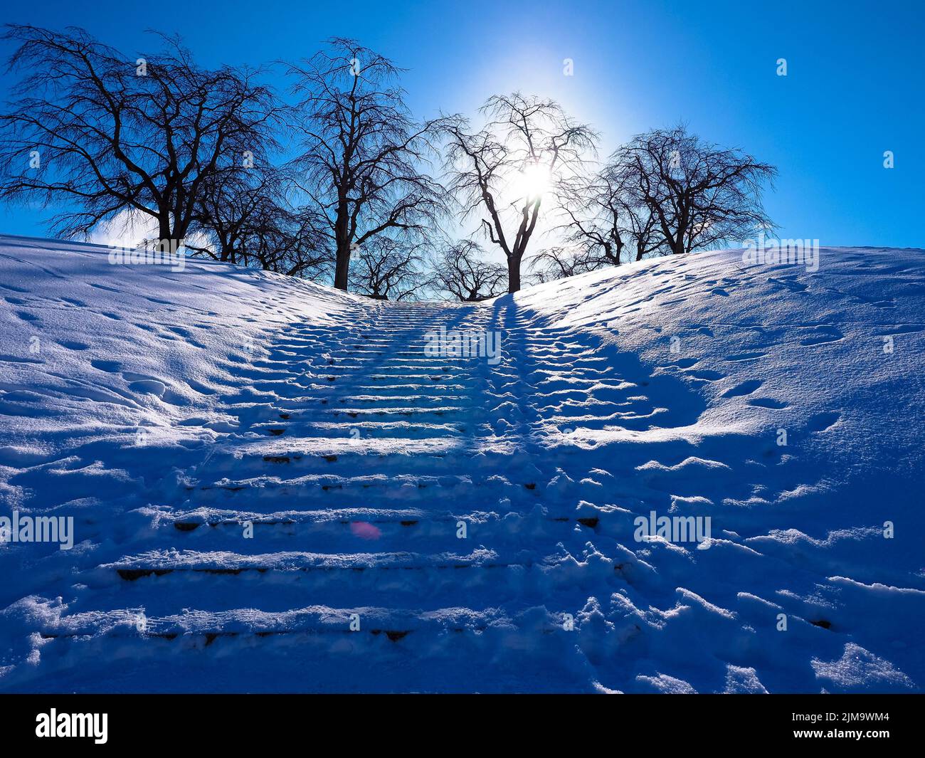 A winter landscape with snow-covered stairs in Skogskyrkogarden ...