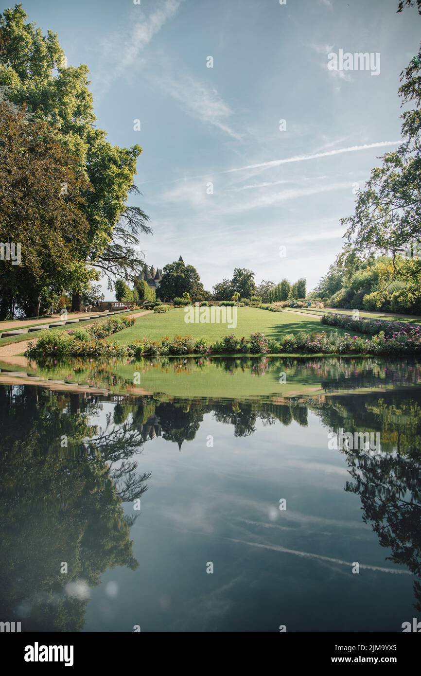 Vertical shot reflection trees hi-res stock photography and images - Alamy