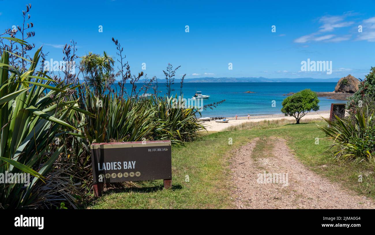 A way to the ladies bay beach in the New Zealand Stock Photo Alamy