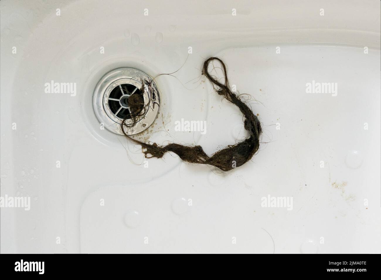 Long hair pulled out of blocked drain of shower Stock Photo Alamy
