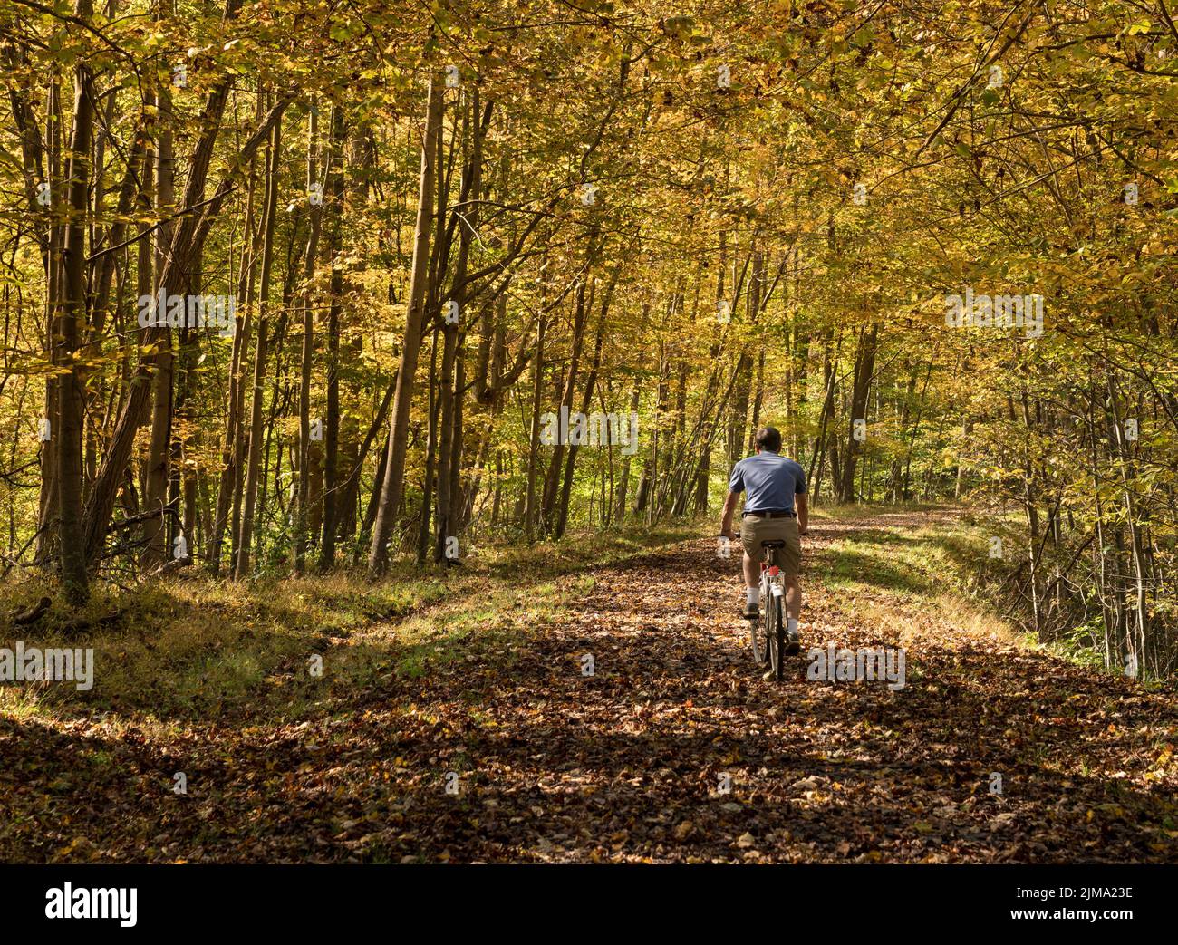 Senior adult man cycles on leaf covered trail Stock Photo
