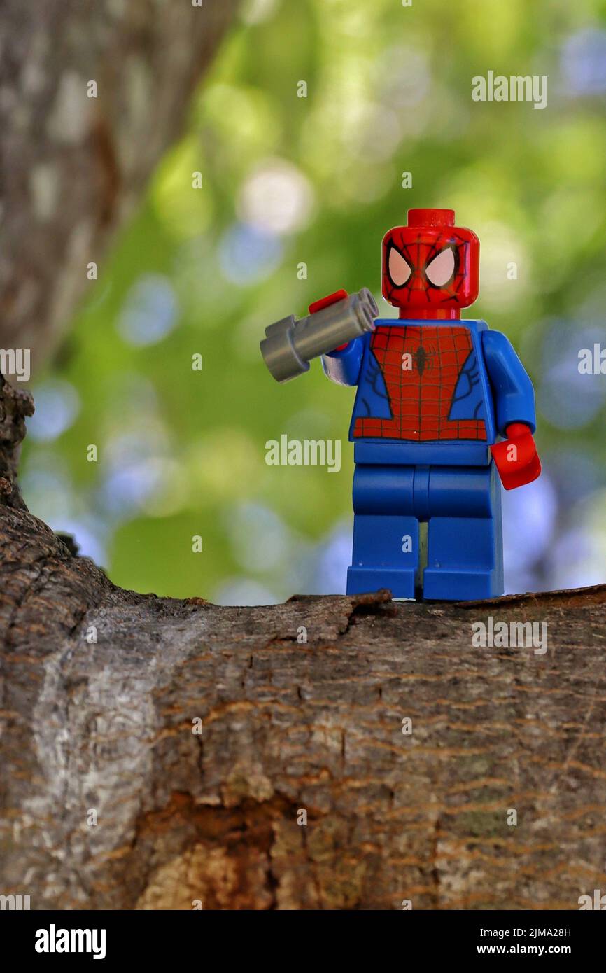 A spider-man toy figure standing in a tree holding binoculars Stock Photo