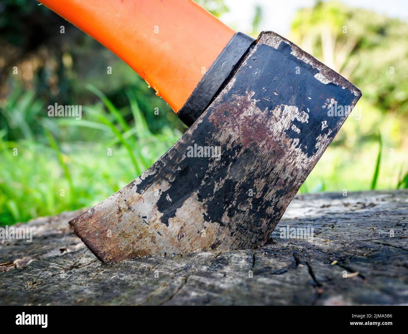 Splitting maul axe in stump. Small, used, with orange plastic handle. Stock photo. Stock Photo