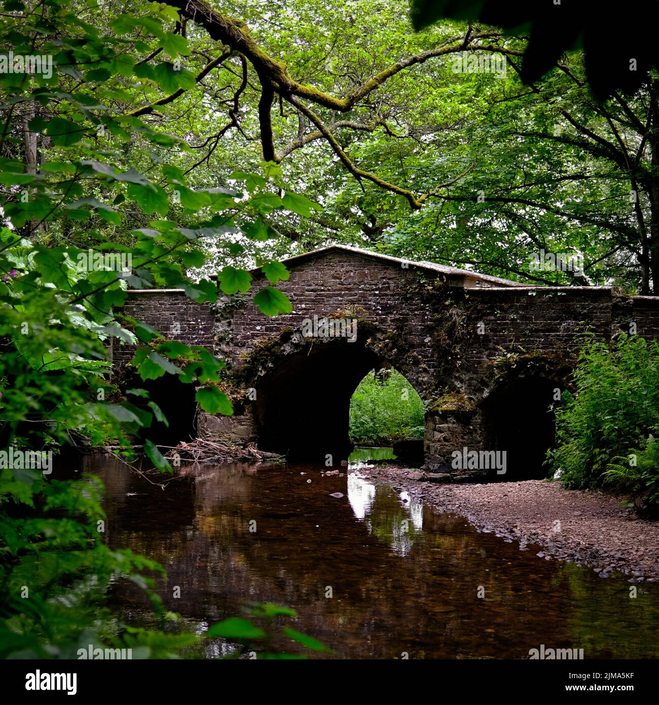 Beautiful bridge surrounded dense hi-res stock photography and images ...