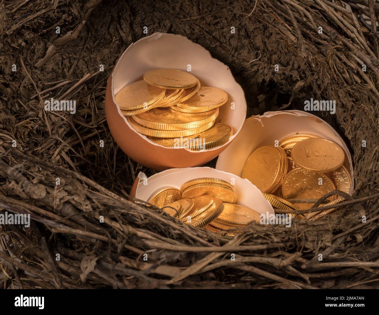 Pure gold coins in egg shell illustrating nest egg Stock Photo
