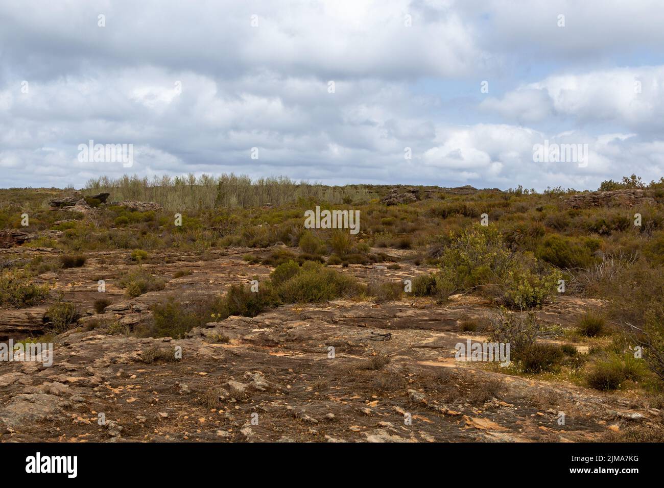 Stony Landscape of the Bokkeveld Plateau in the Northern Cape of South Africa Stock Photo