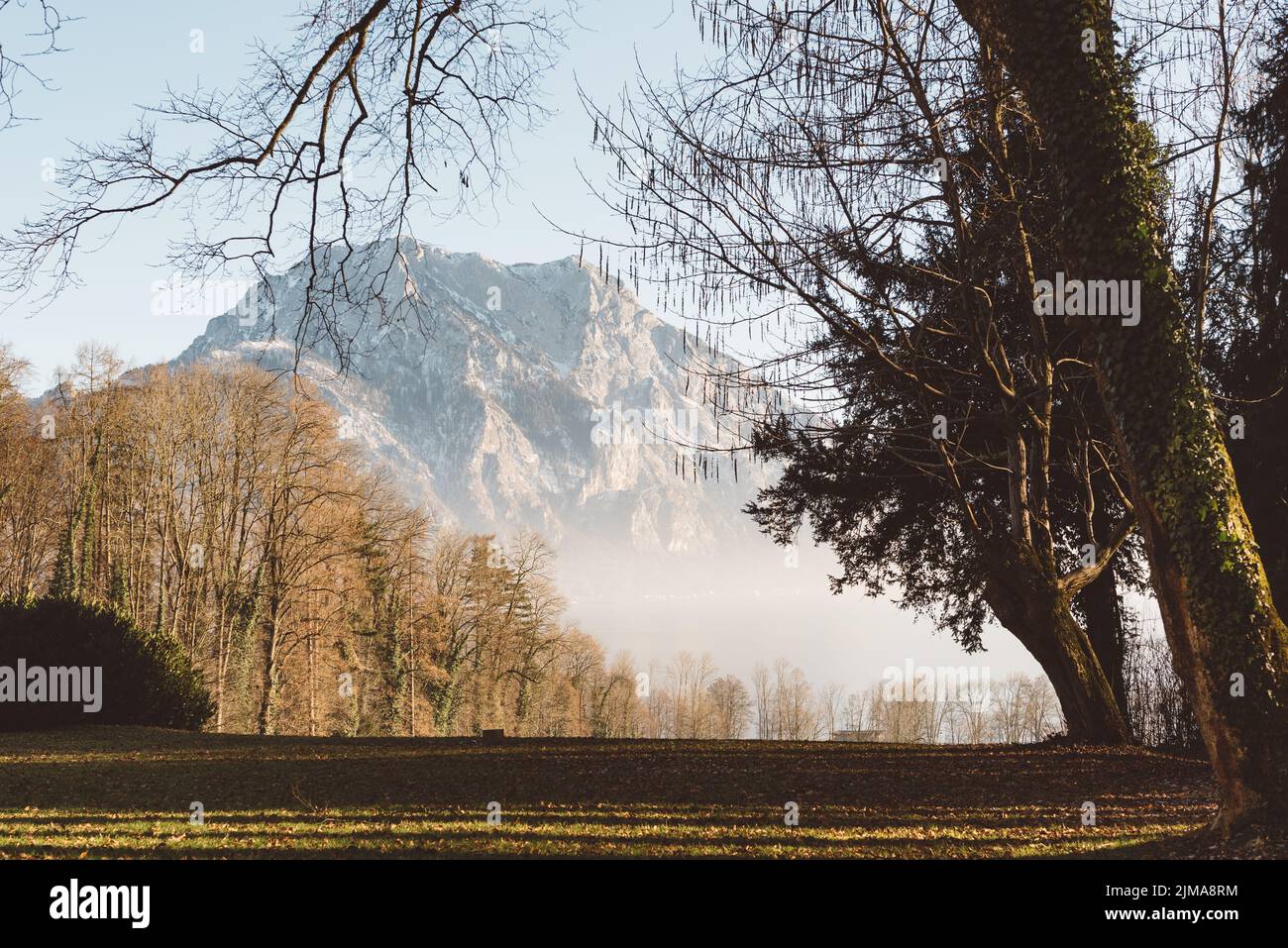 Park with Mountain Traunstein in Background Stock Photo