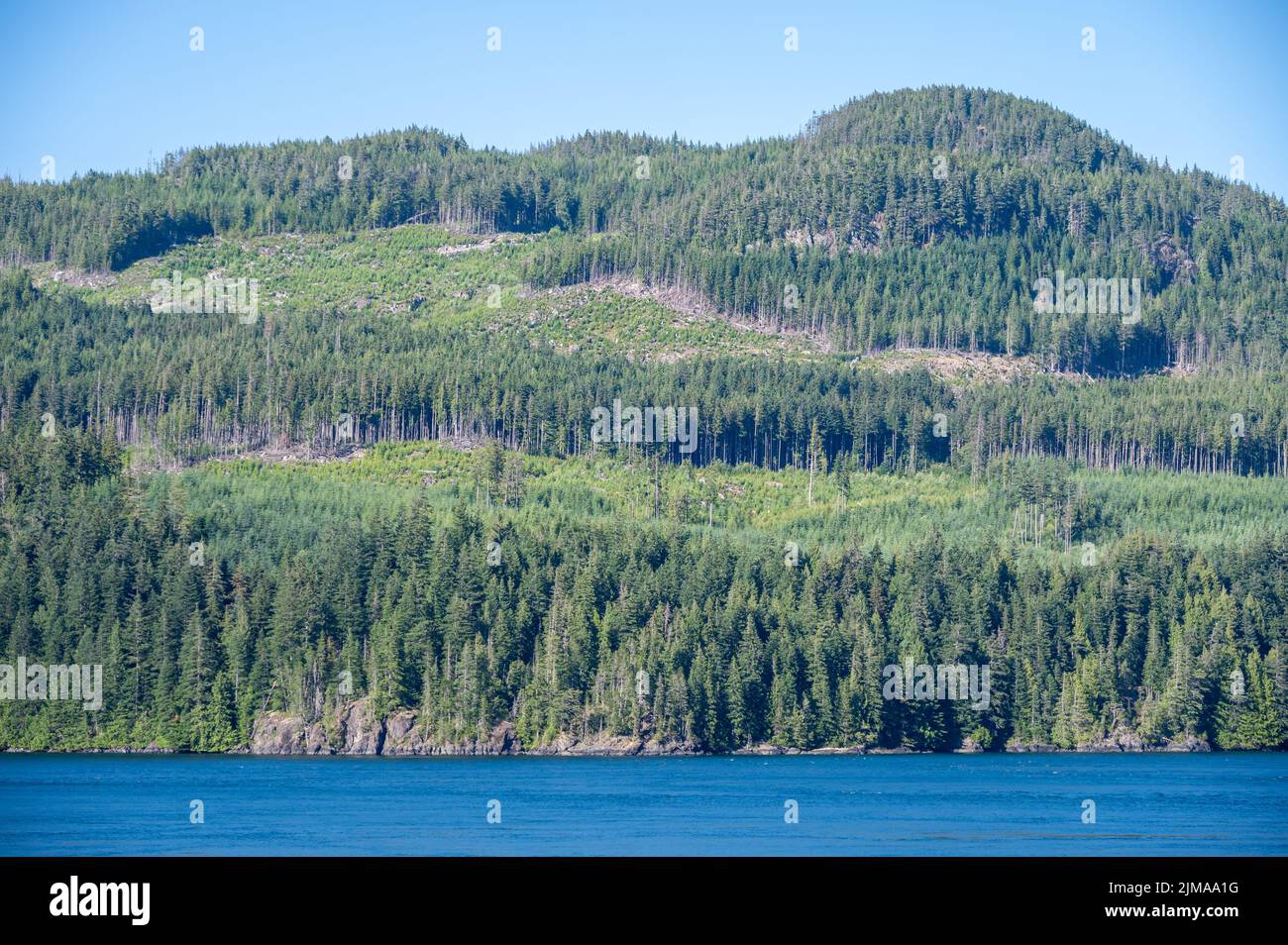 Logged Forests On Vancouver Island Stock Photo Alamy logged-forests-on-vancouver-island-stock-photo-alamy