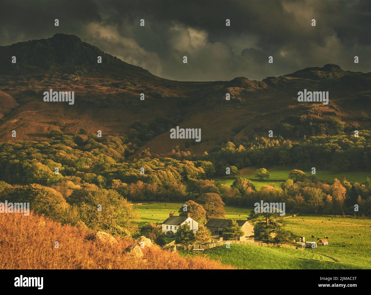 Wha House Farm seen below Harter Fell in the Eskdale valley of the Lake District. Stock Photo