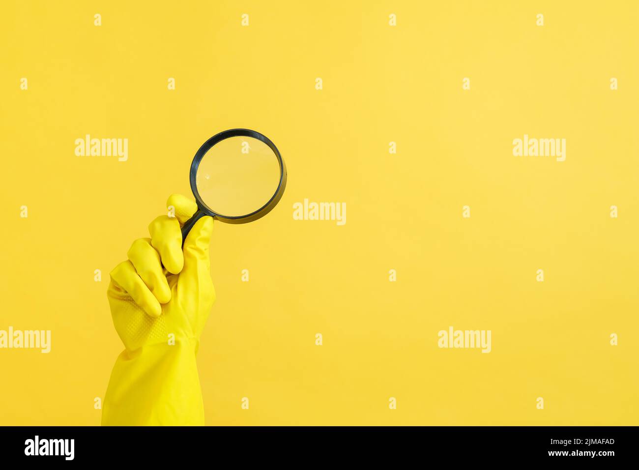 housekeeping cleaning service hand glove magnifier Stock Photo Alamy