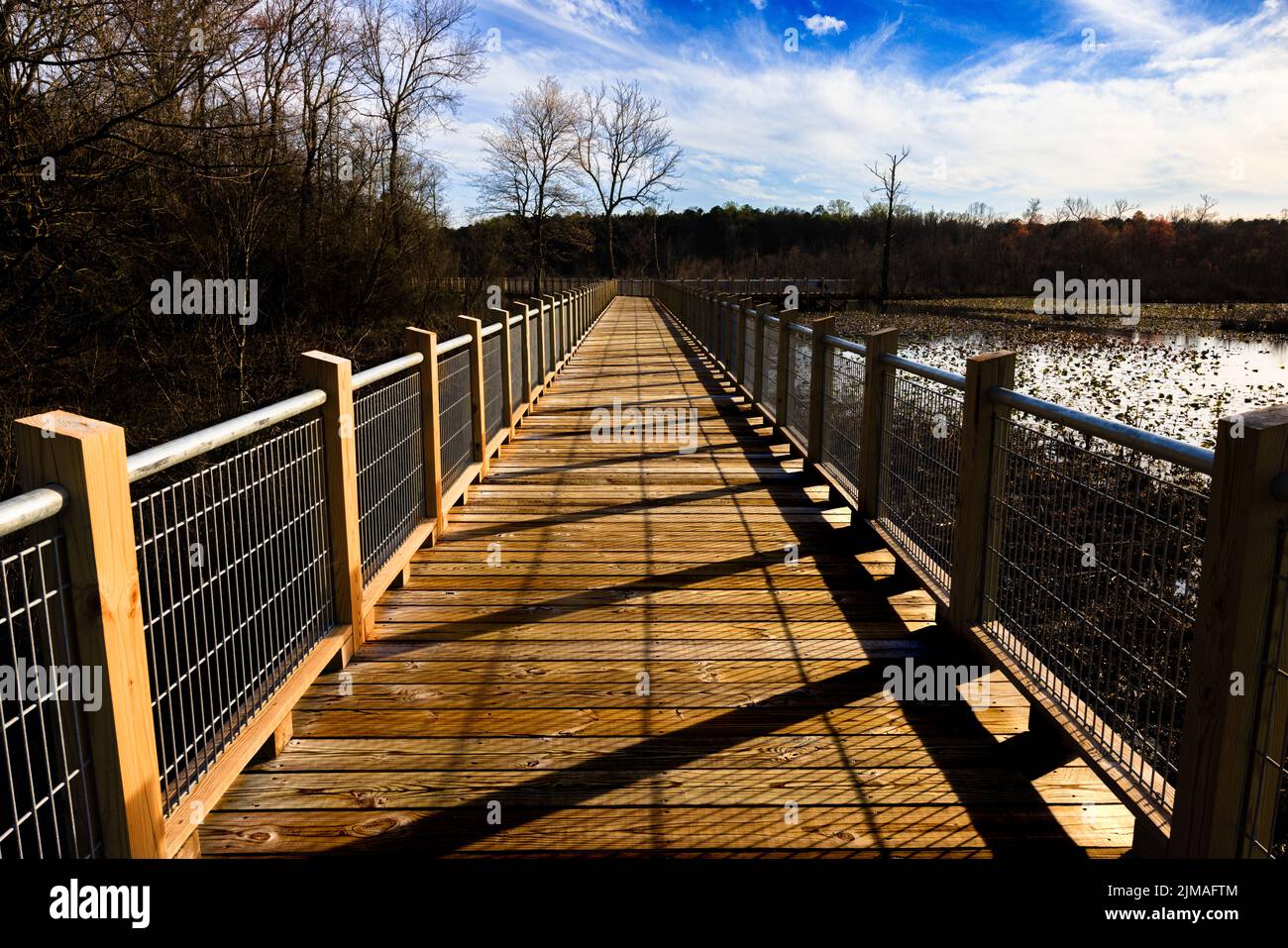 A closeup of a boardwalk at the Tuckahoe Creek Park in Henrico