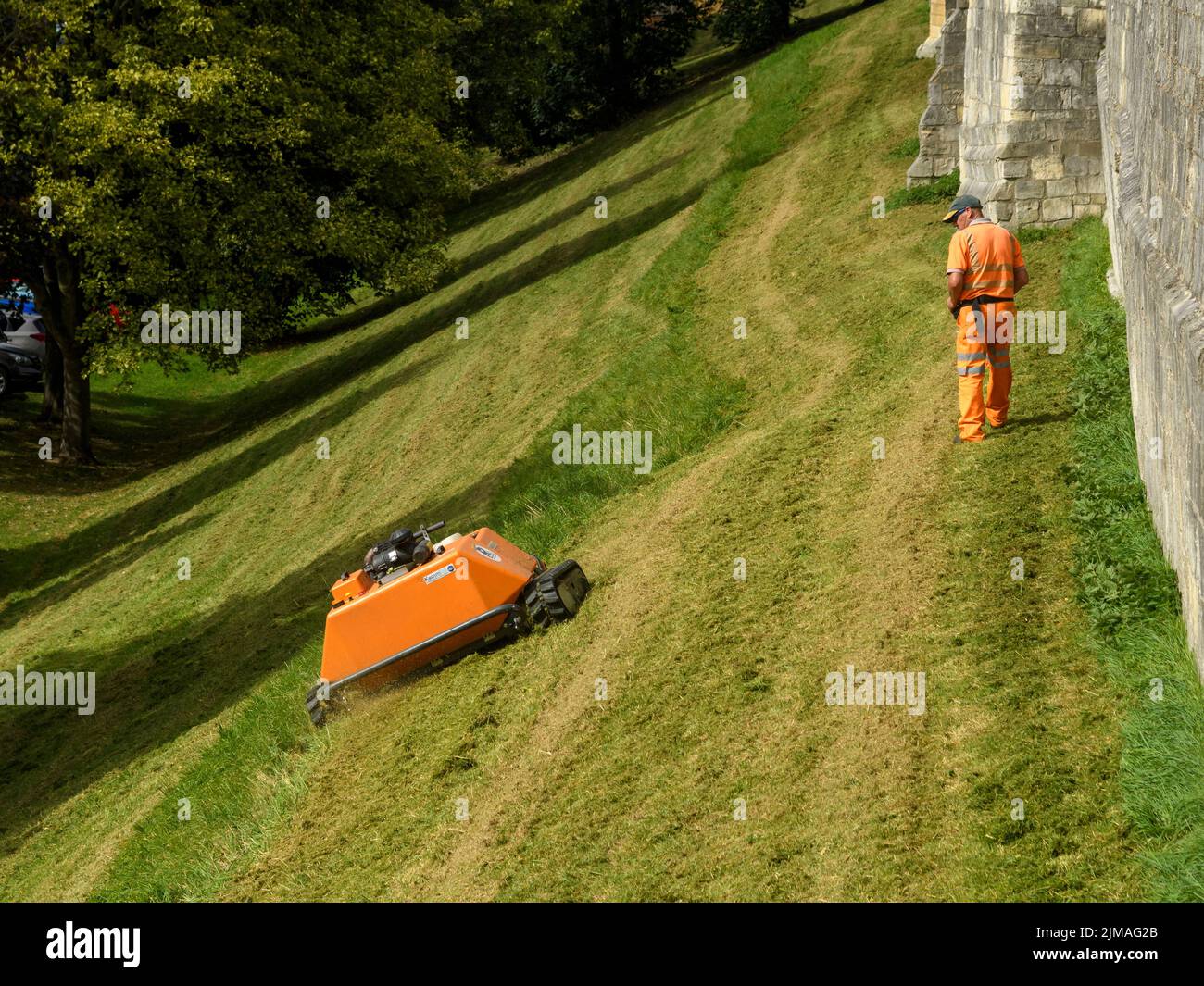 Grass slope mowed by remote-controlled orange robotic mower (KommTek RoboFlail) & worker in hi-vis - historic York city walls, Yorkshire, England, UK. Stock Photo