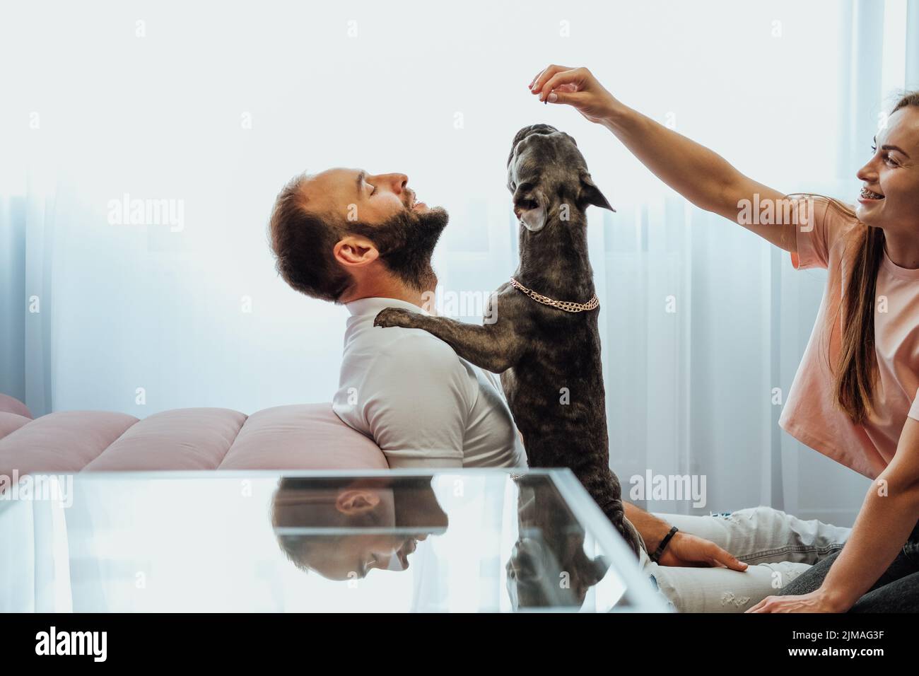 Cheerful Woman and Man Having Fun Time with Pet French Bulldog at Home Stock Photo