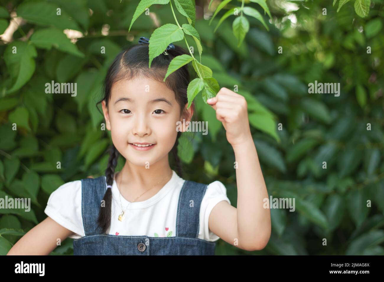 Asian  little girl is playing below the leaves birch. Korea Children Stock Photo