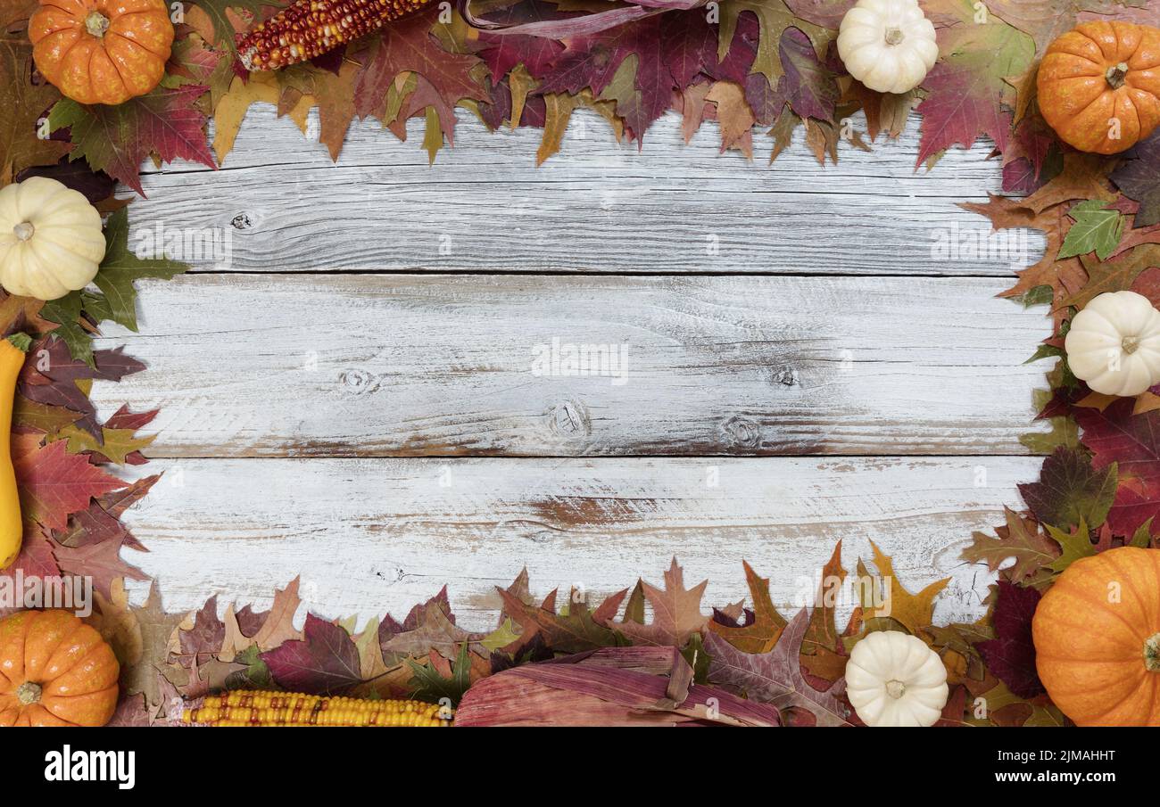 Autumn seasonal foliage and decorations for seasonal holidays on white rustic wooden boards Stock Photo