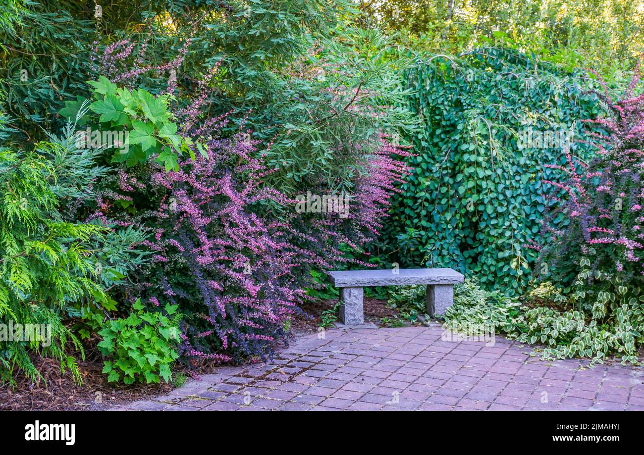 A bench at a garden quiet place in South Seattle, Washington. Stock Photo