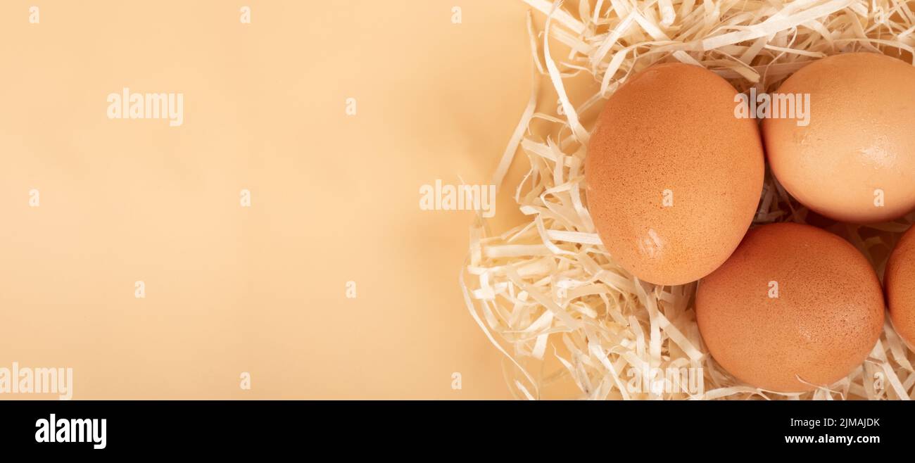 chicken eggs in the nest closeup, easter eggs concept copy space. Stock Photo