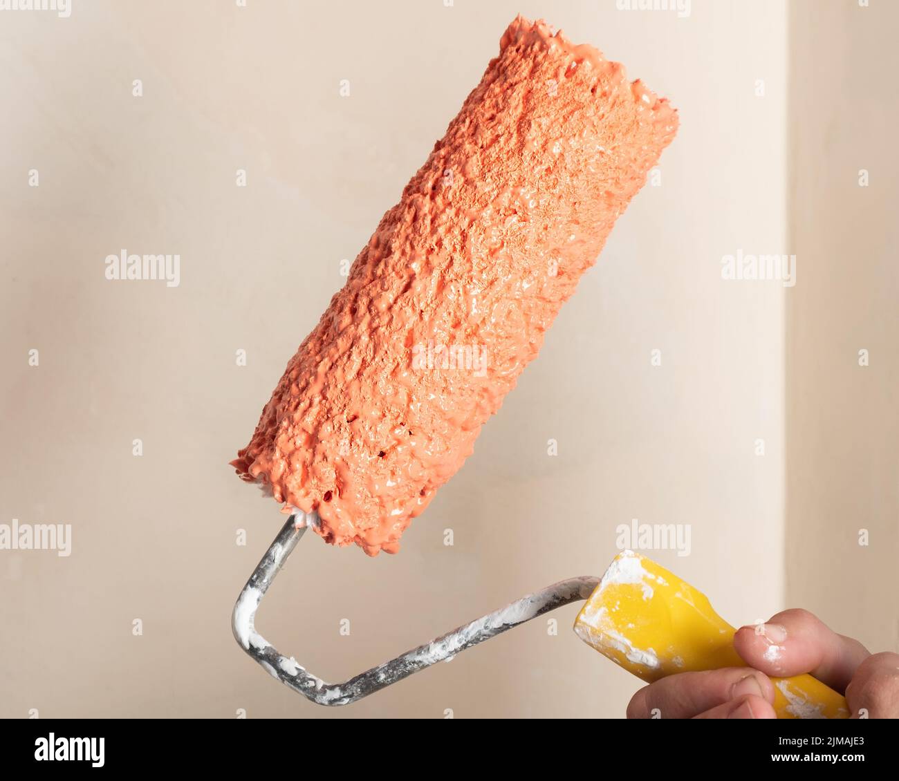 pink paint roller closeup, house painting concept Stock Photo Alamy