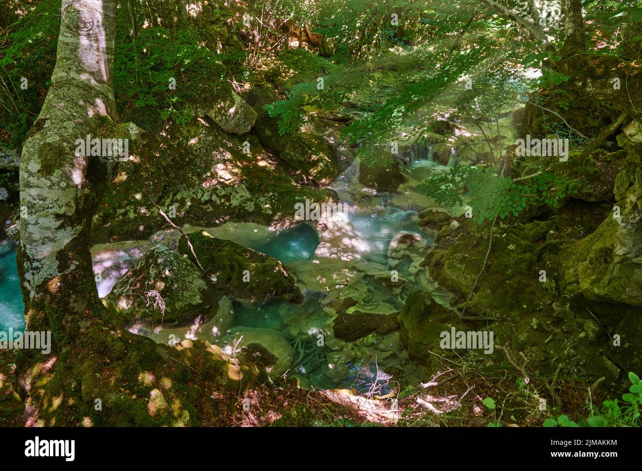 Detail of the Urederra river, Baquedano, Navarra, Spain, Europe Stock Photo