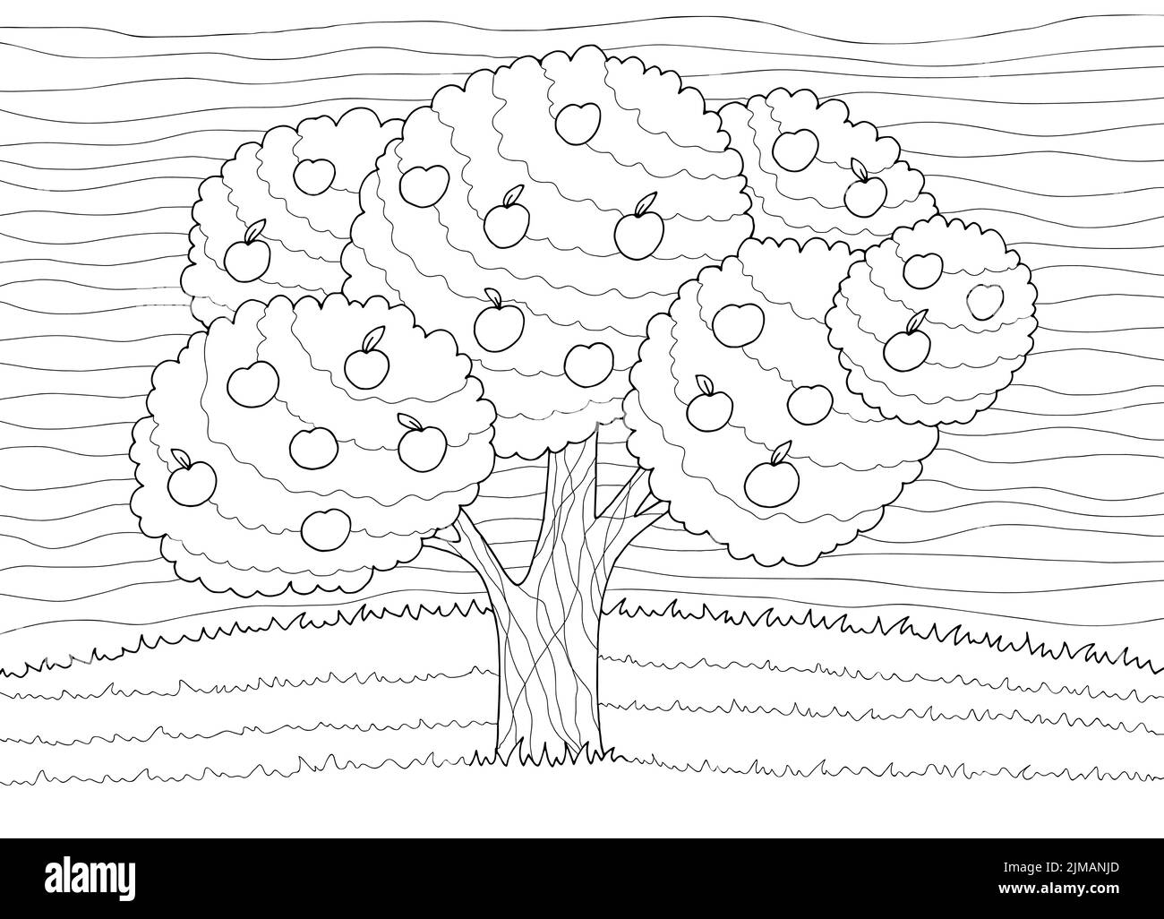 Apple tree coloring garden graphic black white landscape sketch illustration vector Stock Vector