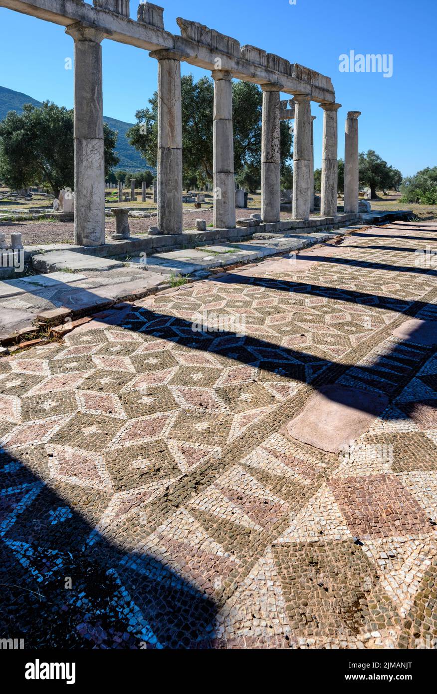 Remains of a mosaic floor at Ancient Messene, Messinia, Peloponnese, Greece Stock Photo