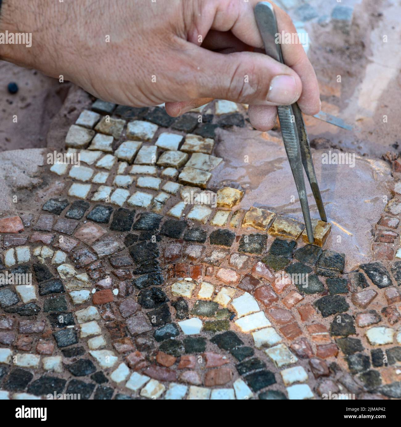 A close up view of an archaeologist restoring a mosaic floor at ancient Messene (Ithomi), Messinia, Southern Peloponnese, Greece Stock Photo