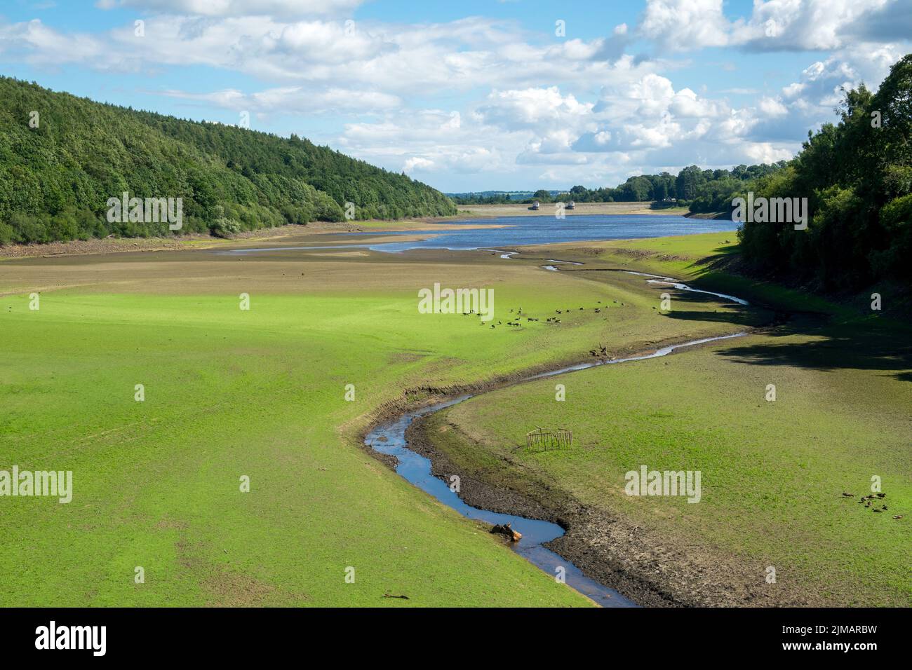 North Yorkshire, UK. 5th August, 2022. Lindley Wood Reservoir is practically empty following heatwave and significantly hot weather in the UK. Lindley Wood Reservoir, used by Yorkshire Water to supply drinking water to Leeds and surrounding areas, is nearly empty and dry.  Credit: Bradley Taylor / Alamy News Stock Photo