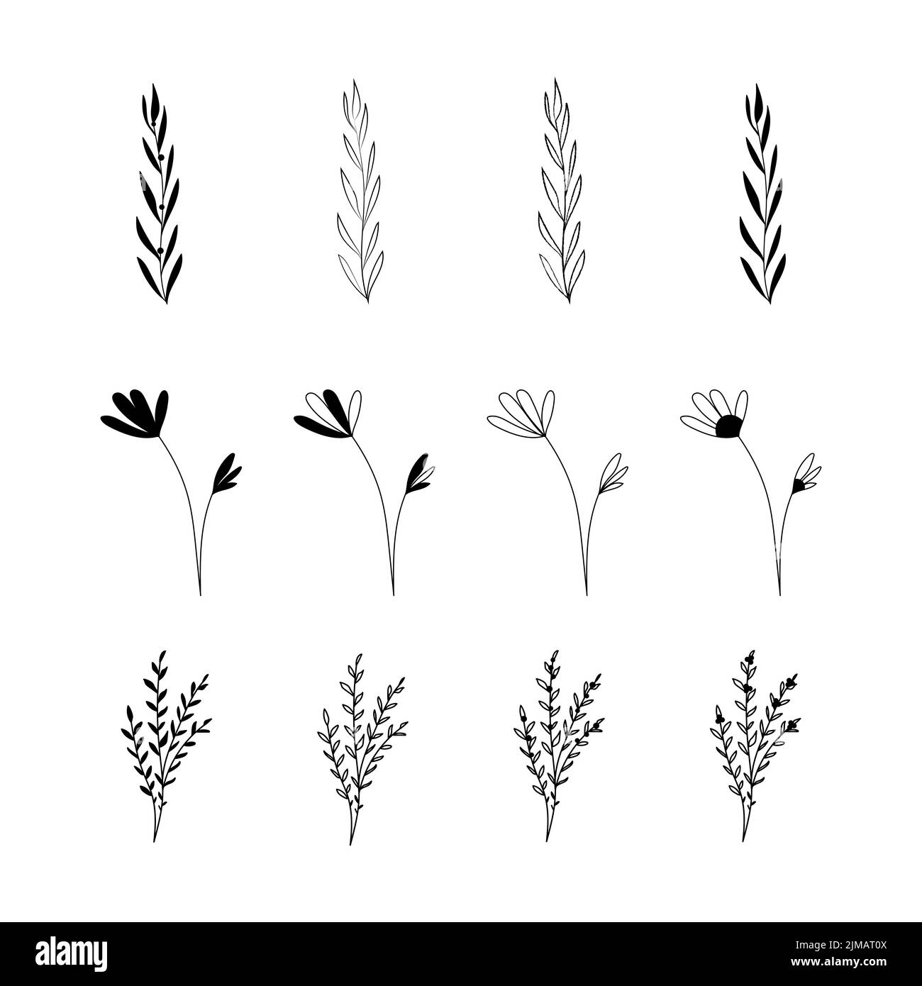 Floral elements and flowers, twigs and leaves set. Vector silhouettes of flowers Stock Vector
