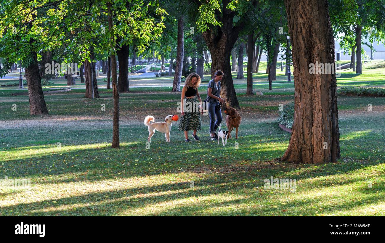 A view of two girls walking their dogs in the park on a nice sunny day ...