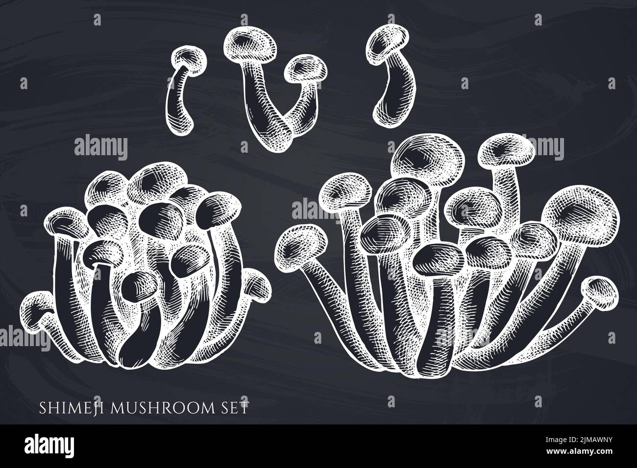 Vector set of hand drawn chalk shimeji Stock Vector Image & Art Alamy