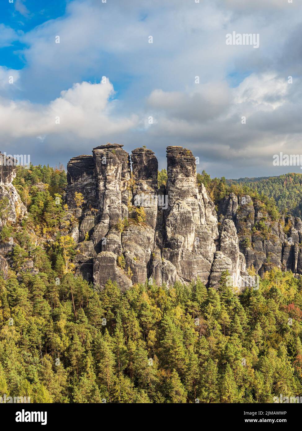 View to rocks and trees in the Saxon Sandstone Mountains, Germany. Stock Photo