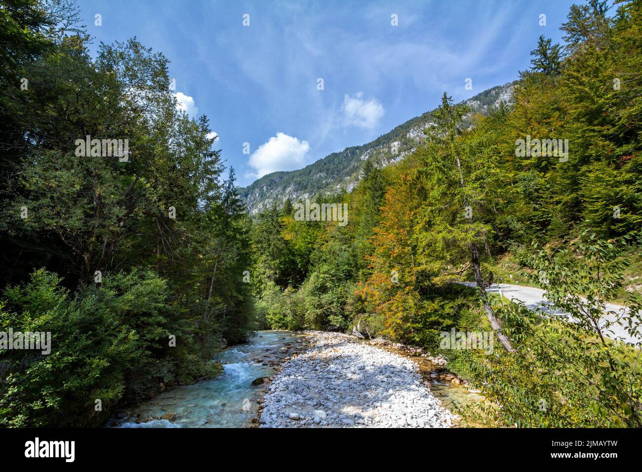 Picture of the triglavska bistrica, a typical alpine river from Mojstrana Slovenia, with grass, water flowing and moutains, in the Julian alps, or jul Stock Photo
