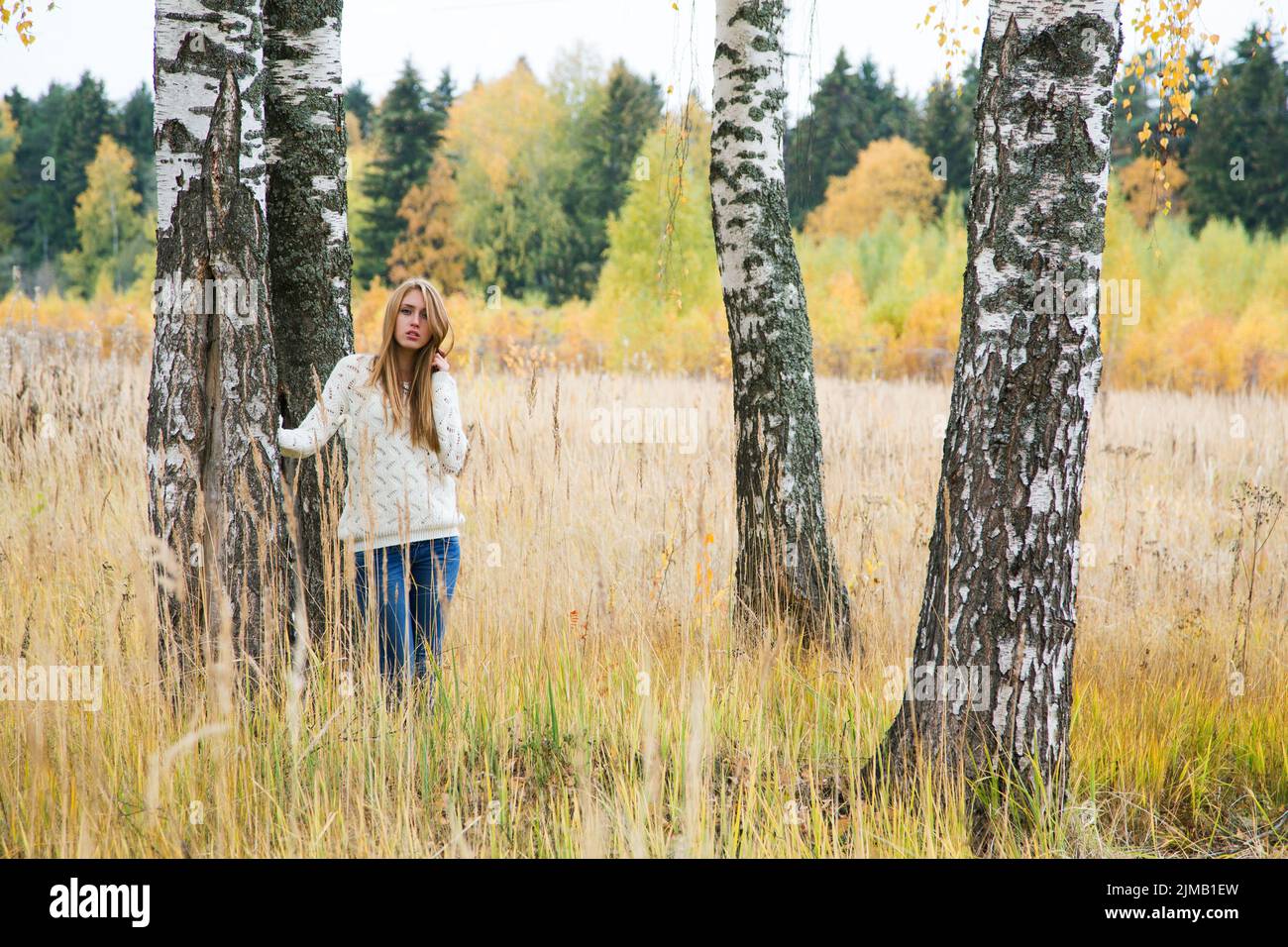Girl among the trees in the high yellow grass in the fall Stock Photo