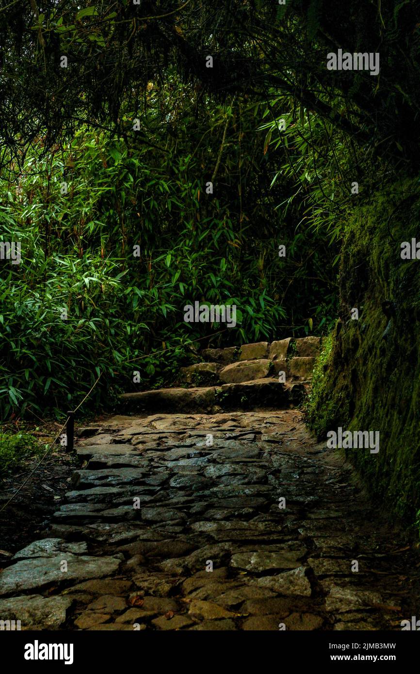 Vertical shot alley through hi-res stock photography and images - Alamy