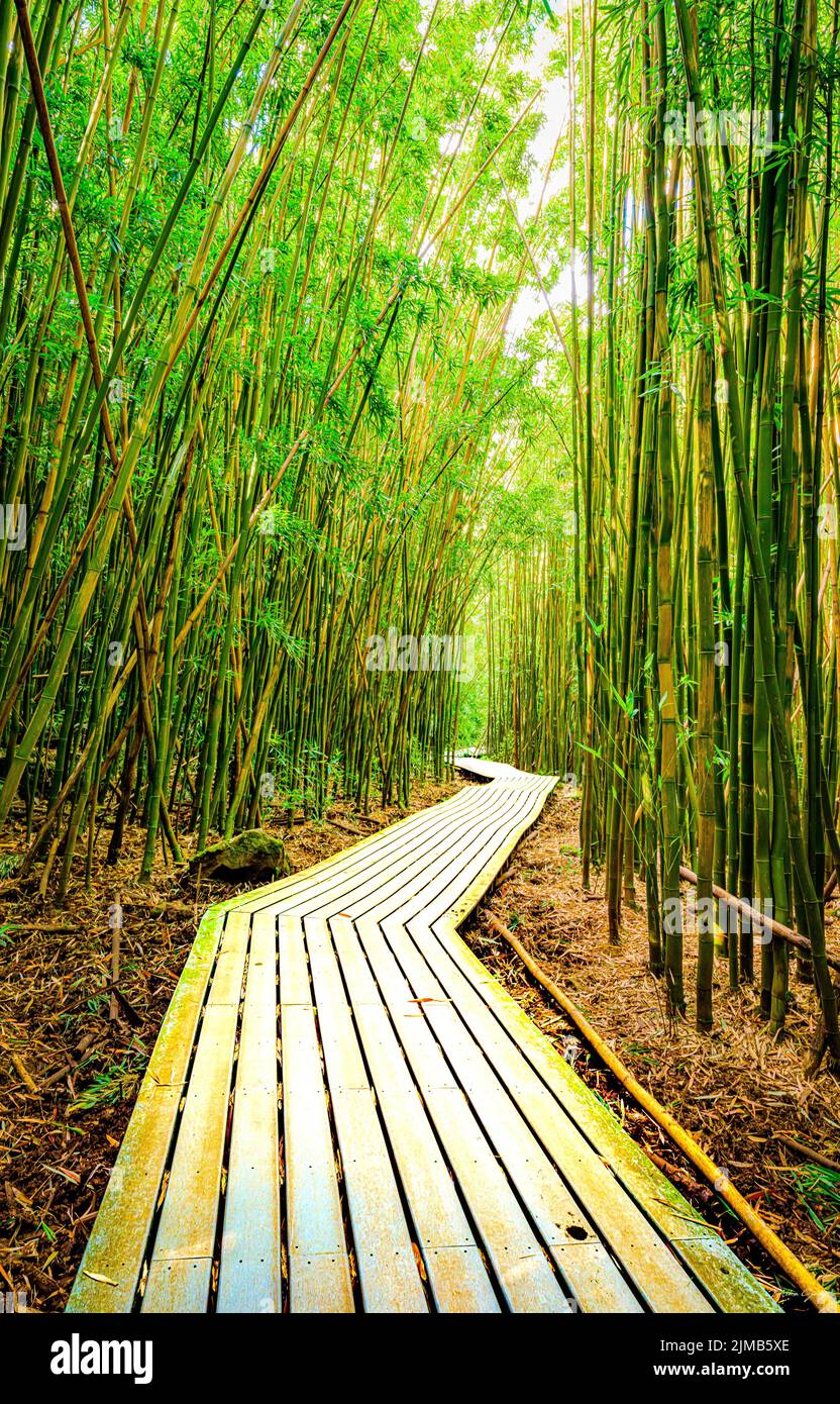 Vertical shot beautiful pathway hi-res stock photography and images - Alamy