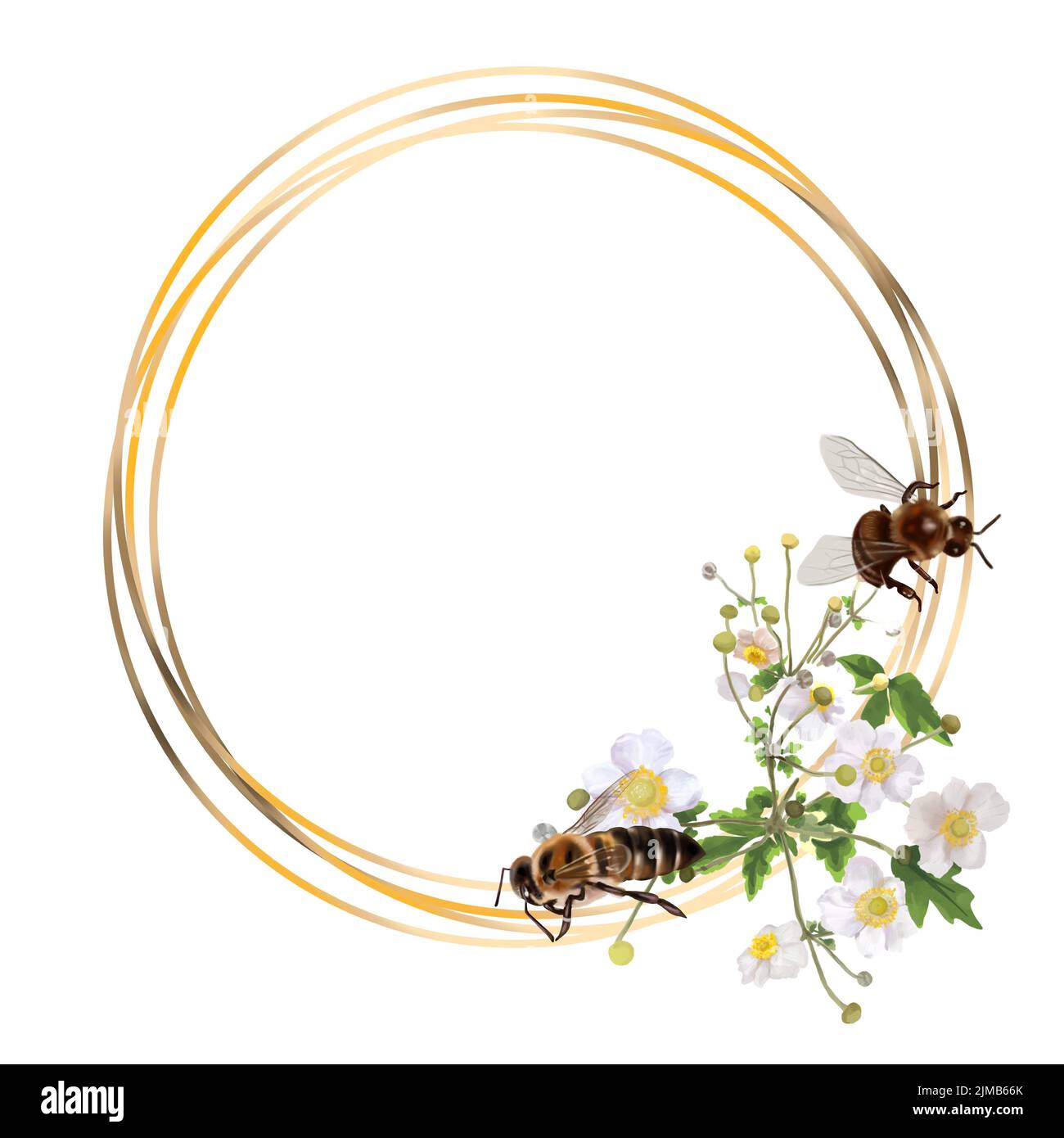 Watercolor gold frame with white wild flowers. Wild flowers and honey bees. Realistic