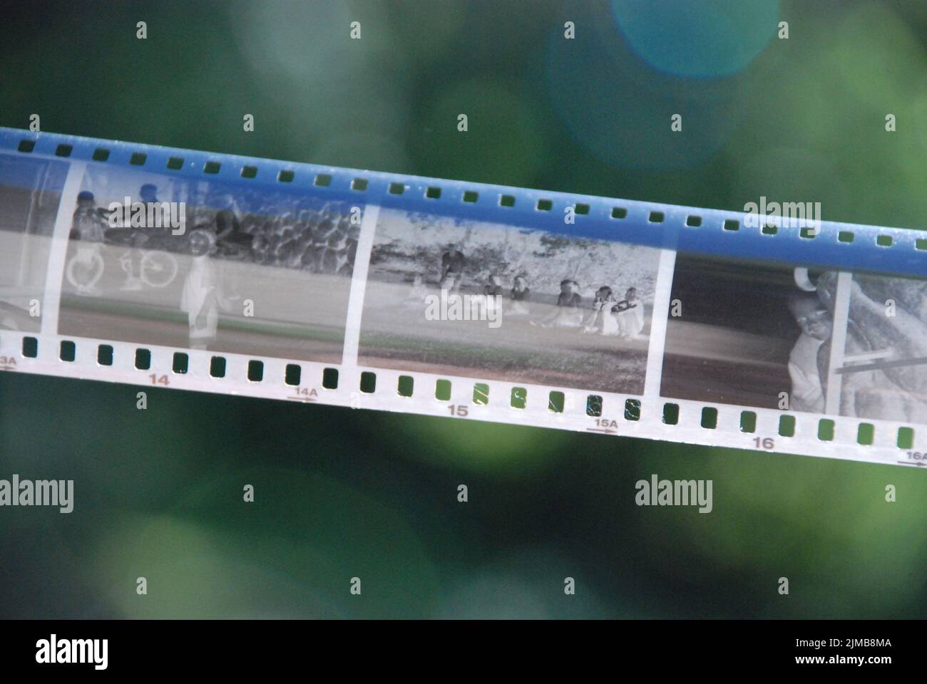 Film Strip Negatives with tree background Stock Photo - Alamy